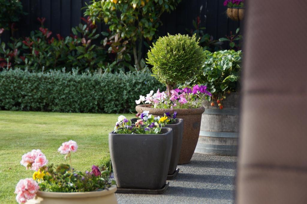 クライストチャーチ オリーブ ハウス ベッド ＆ ブレックファースト Bed & Breakfast エクステリア 写真