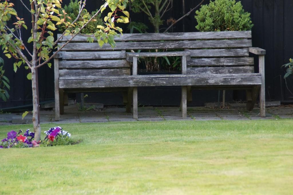 クライストチャーチ オリーブ ハウス ベッド ＆ ブレックファースト Bed & Breakfast エクステリア 写真